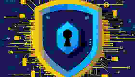 На одну российскую компанию в 2025 году пришлось более 900 DDoS-атак